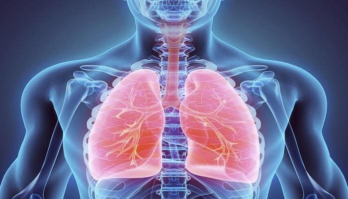 الجهاز التنفسي تعريفه ومكوناته ووظيفته وامراضه ووقايته من الامراض