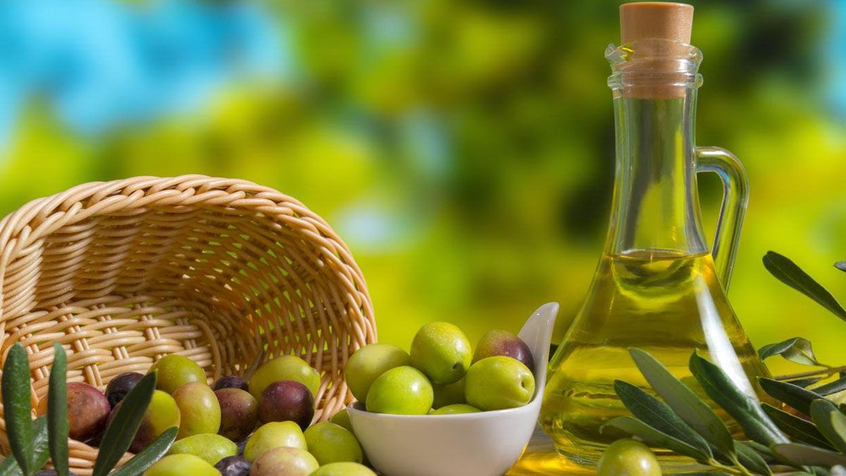 زيت الزيتون للشعر