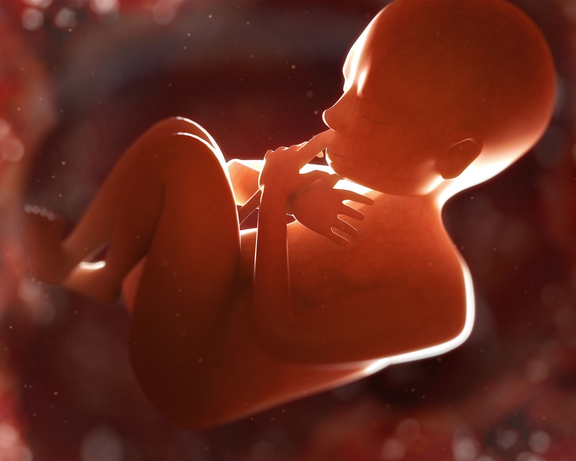 كيف اخلي الجنين يتحرك في الشهر السابع